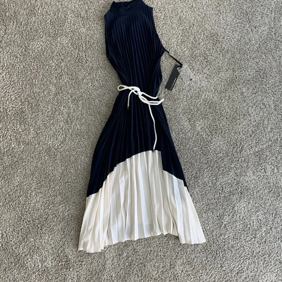 Iris Setlakwe | Dresses | Iris Setlakwe Navybone Pleated Dress 2 | Poshmark